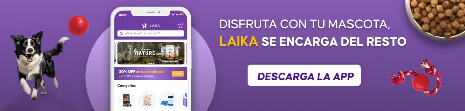 Descarga la app de Laika